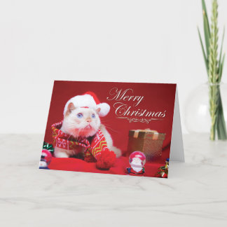 Trident der Cat Weihnachtskarte Feiertagskarte