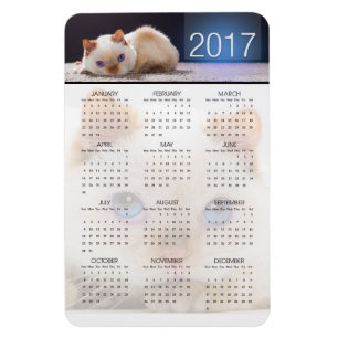 Trident der Katzen-magnetische Kalender 01 Magnet