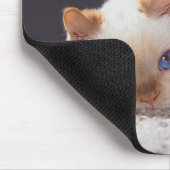 Trident die Katzen-Mausunterlage 01 Mousepad (Ecke)