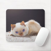 Trident die Katzen-Mausunterlage 01 Mousepad (Mit Mouse)