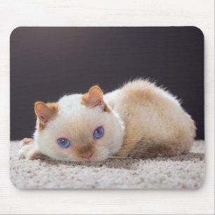 Trident die Katzen-Mausunterlage 01 Mousepad