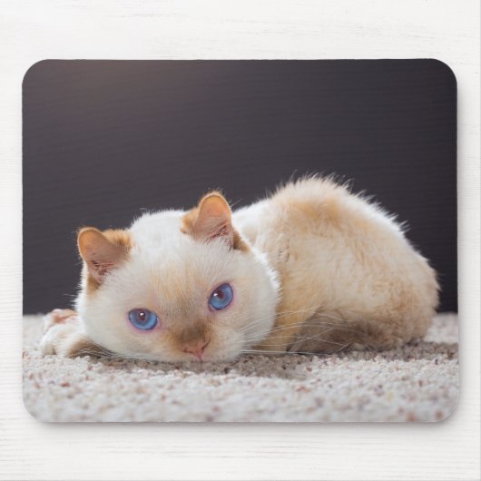 Trident die Katzen-Mausunterlage 01 Mousepad (Vorne)