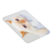 Trident the Cat Magnet 03 (Rechte Seite)