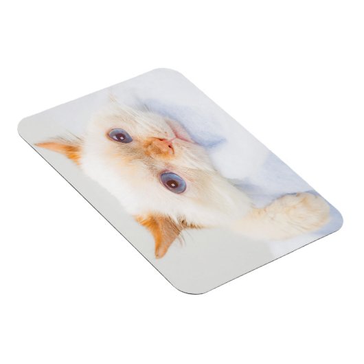 Trident the Cat Magnet 03 (Rechte Seite)