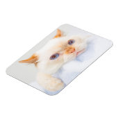 Trident the Cat Magnet 03 (Linke Seite)