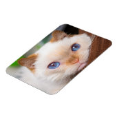 Trident the Cat Magnet 04 (Linke Seite)