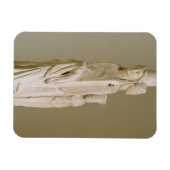 Triform Herm Hecate, Marmorskulptur, Dachstein Magnet (Horizontal)