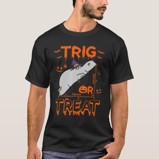 Trig oder Leckerei Hippopotamus Math Lehrer Kostüm T-Shirt (Vorderseite)