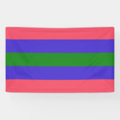 Trigender Pride Banner (Horizontal)
