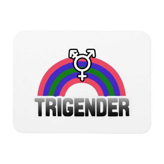 Trigender Stolz Magnet (Horizontal)