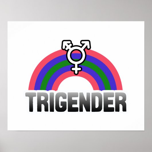Trigender Stolz Poster (Vorne)