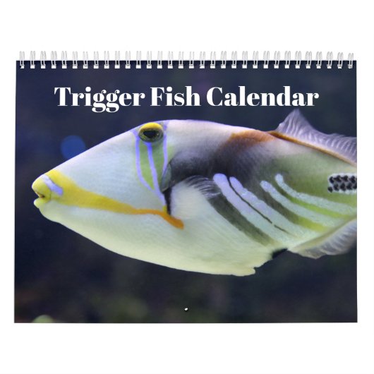 Triggerfisch 2025 kalender (Titelbild)