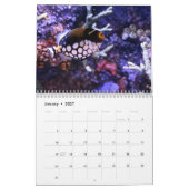 Triggerfisch 2025 kalender (Jan 2027)