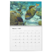 Triggerfisch 2025 kalender (Feb 2027)