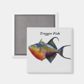 Triggerfisch Magnet (Vorderseite/Rückseite)