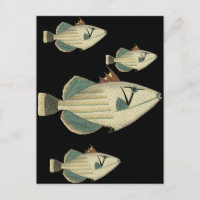 Triggerfisch