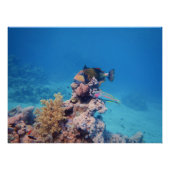 Triggerfische Erholungen auf einem Korallenblock a Poster (Vorderseite)