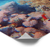 Triggerfische Erholungen auf einem Korallenblock a Poster (Ecke)