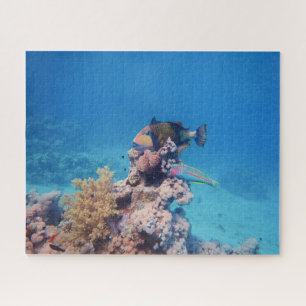 Triggerfische Erholungen auf einem Korallenblock a Puzzle