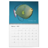 Triggerfish Wall Calendar von J.W. Vater. Kalender (Feb 2027)