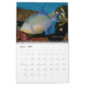 Triggerfish Wall Calendar von J.W. Vater. Kalender (Mär 2027)