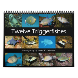 Triggerfish Wall Calendar von J.W. Vater. Kalender