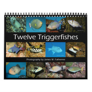 Triggerfish Wall Calendar von J.W. Vater. Kalender