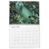 Triggerfish Wall Calendar von J.W. Vater. Kalender (Jan 2026)