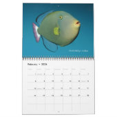 Triggerfish Wall Calendar von J.W. Vater. Kalender (Feb 2026)