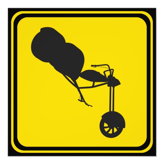 Trike Xing! Fotodruck (Vorne)