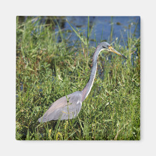 Trikolon Heron Magnet