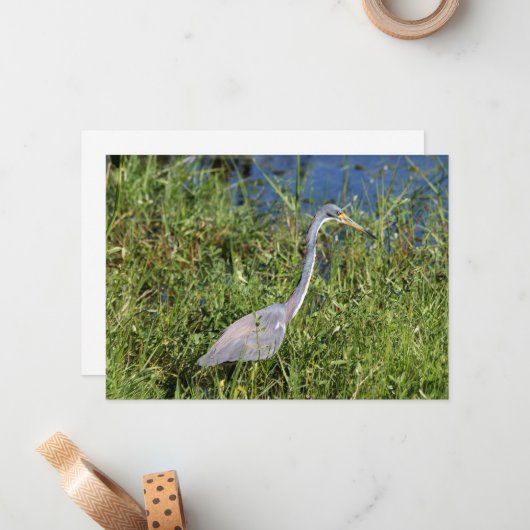 Trikolon Heron Mitteilungskarte (Vorderseite/Rückseite Beispiel)