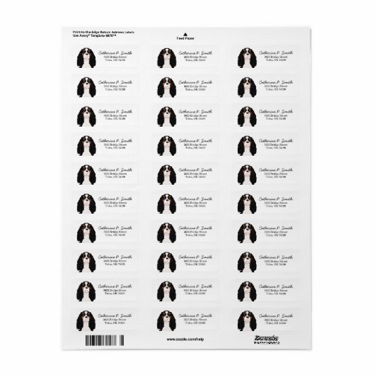 Trikolore Cavalier King Charles Spaniel Return (Vorne)