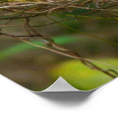 Trikolore Heron Everglades Poster (Ecke)