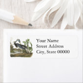 Trikolore Heron, John Audubon (Insitu)