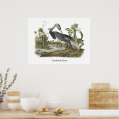 Trikolore Heron, John Audubon Poster (Küche)