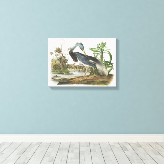 Trikolore Heron von Audubon Leinwanddruck (Insitu (Holzboden))