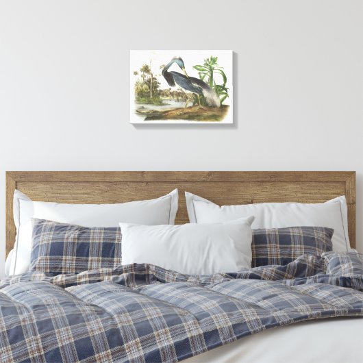Trikolore Heron von Audubon Leinwanddruck (Insitu (Schlafzimmer))