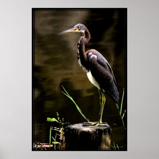 Trikoloriertes Heron Poster -40x60 -andere Größen (Vorne)