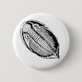 Triliobitfossilien Button