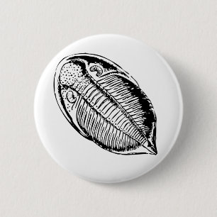 Triliobitfossilien Button