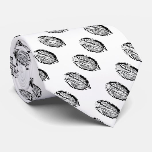 Triliobitfossilien Krawatte (Gerollt)