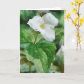 Trillium Blume Grußkarte Artwork Karte (Gelbe Blume)