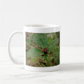Trillium-Blume Kaffeetasse (Links)