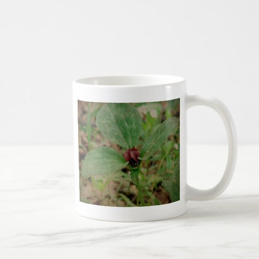 Trillium-Blume Kaffeetasse (Rechts)