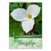 Trillium-Blume mit grünem Band (Vorne)