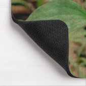 Trillium-Blume Mousepad (Ecke)