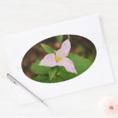 Trillium-Blume Ovaler Aufkleber (Umschlag)