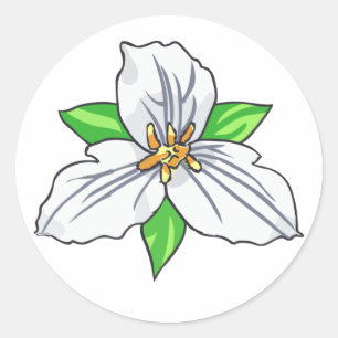 Trillium-Blume Runder Aufkleber