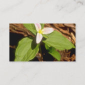 Trillium-Blumen Visitenkarte (Rückseite)